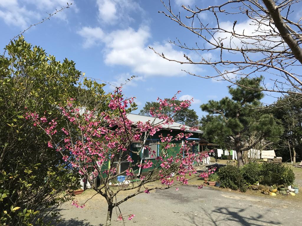 Tomarigi Hotel Yakushima  Eksteriør billede